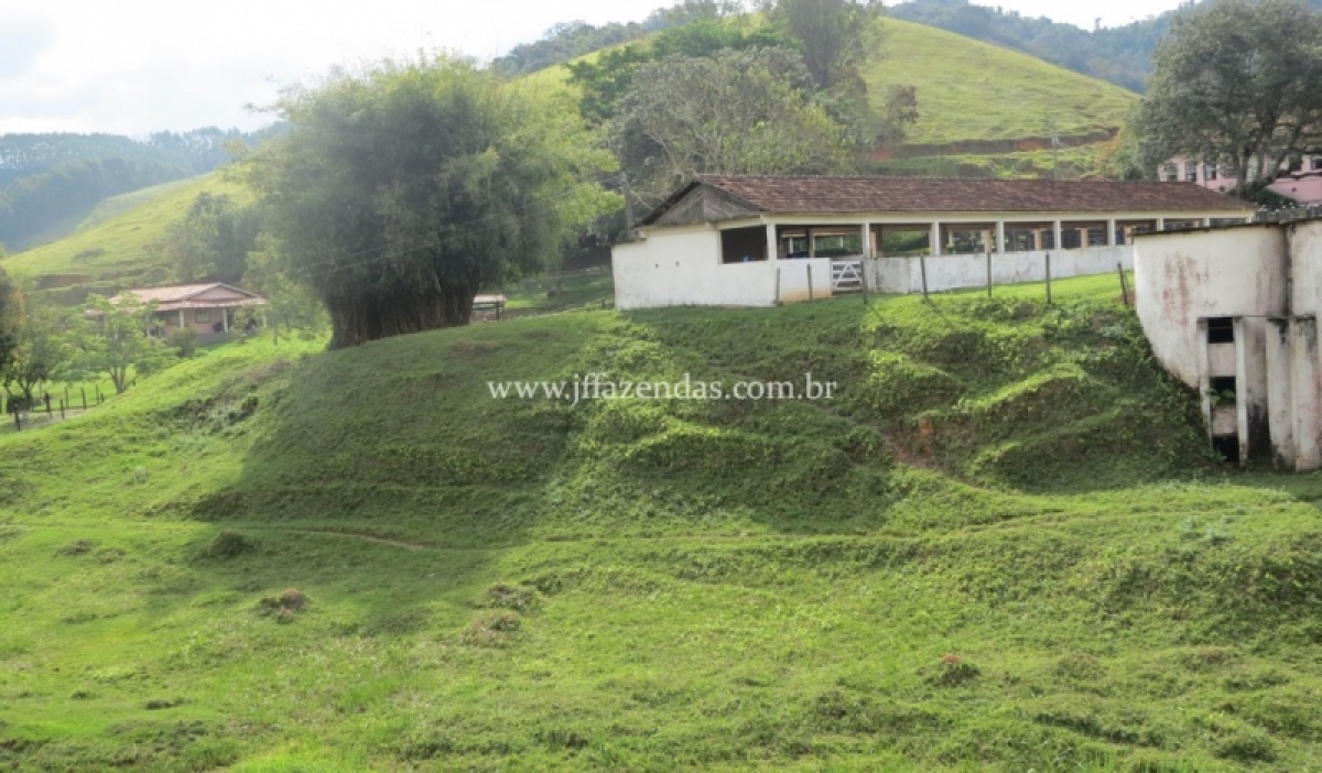 Fazenda em Juiz de Fora  - 355 hectares