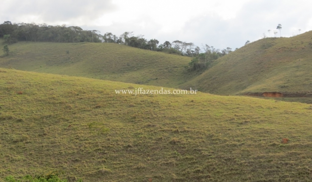 Fazenda em Juiz de Fora  - 355 hectares