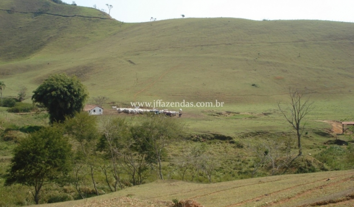 Fazenda em Juiz de Fora  - 355 hectares