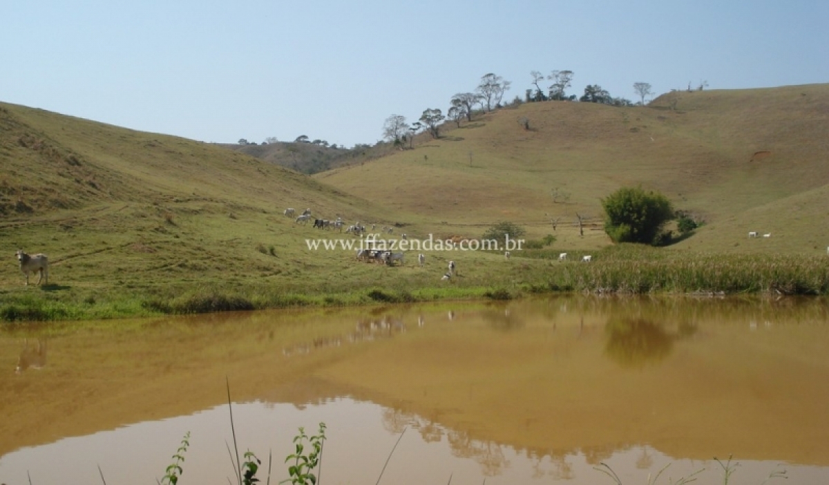 Fazenda em Juiz de Fora  - 355 hectares