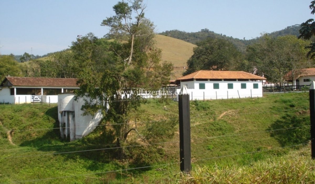 Fazenda em Juiz de Fora  - 355 hectares