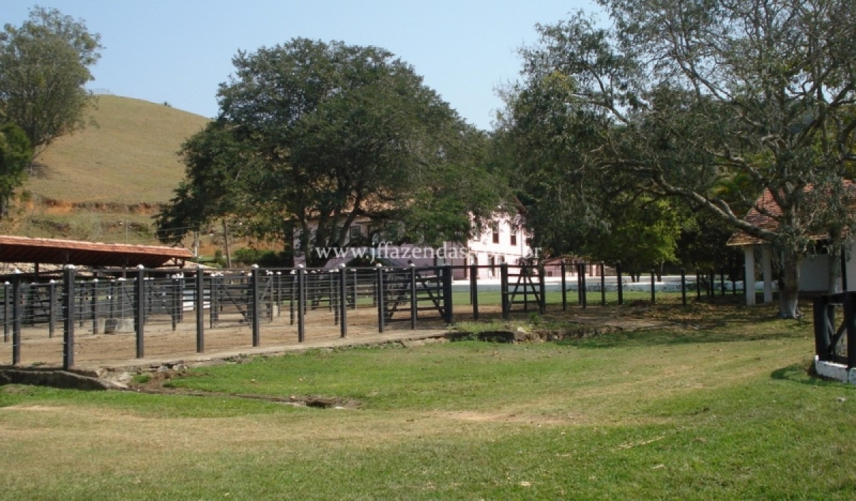 Fazenda em Juiz de Fora  - 355 hectares