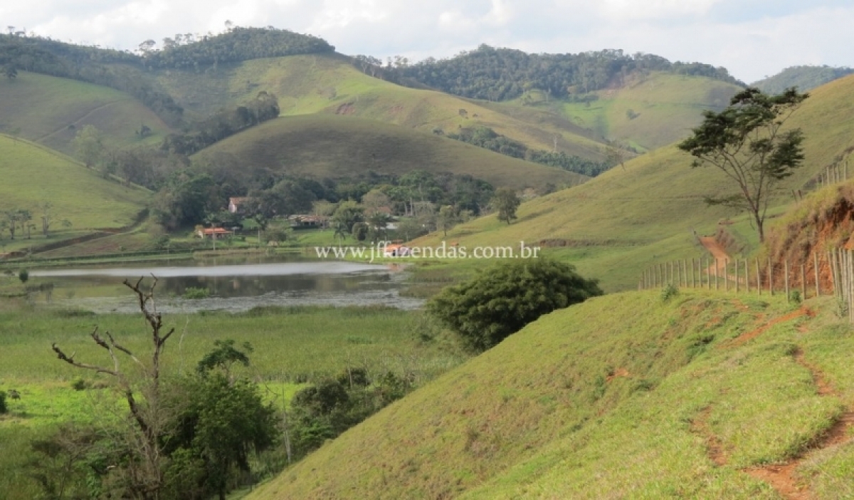 Fazenda em Juiz de Fora  - 355 hectares