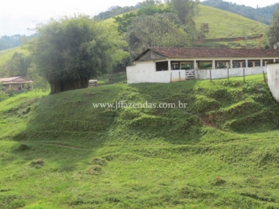 Fazenda em Juiz de Fora  - 355 hectares