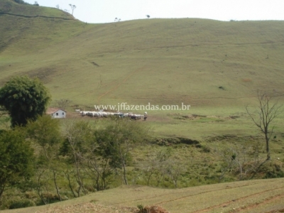 Fazenda em Juiz de Fora  - 355 hectares