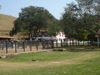 Fazenda em Juiz de Fora  - 355 hectares