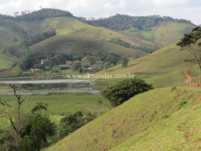 Fazenda em Juiz de Fora  - 355 hectares