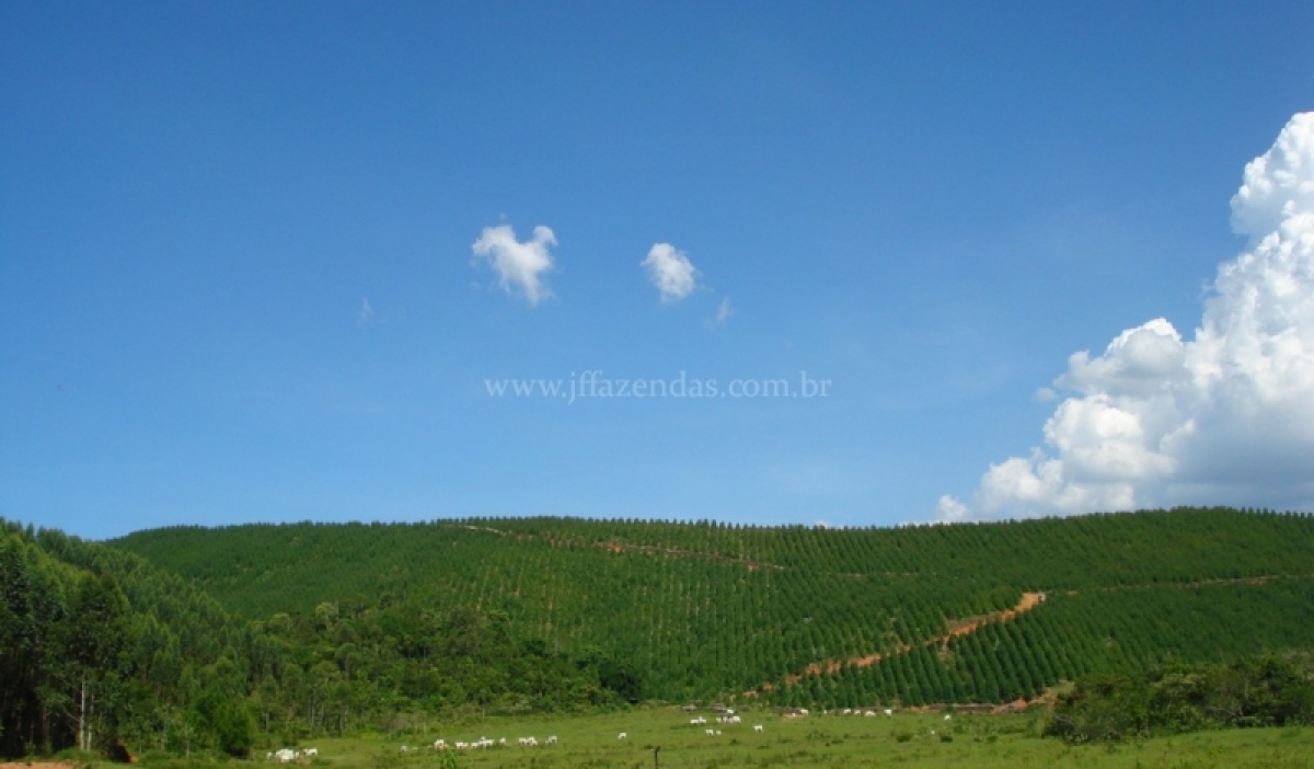 Fazenda em Juiz de Fora  - 357 hectares