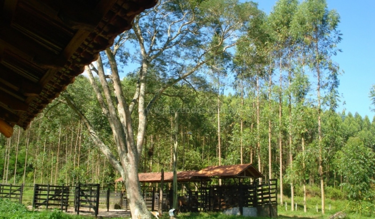 Fazenda em Juiz de Fora  - 357 hectares