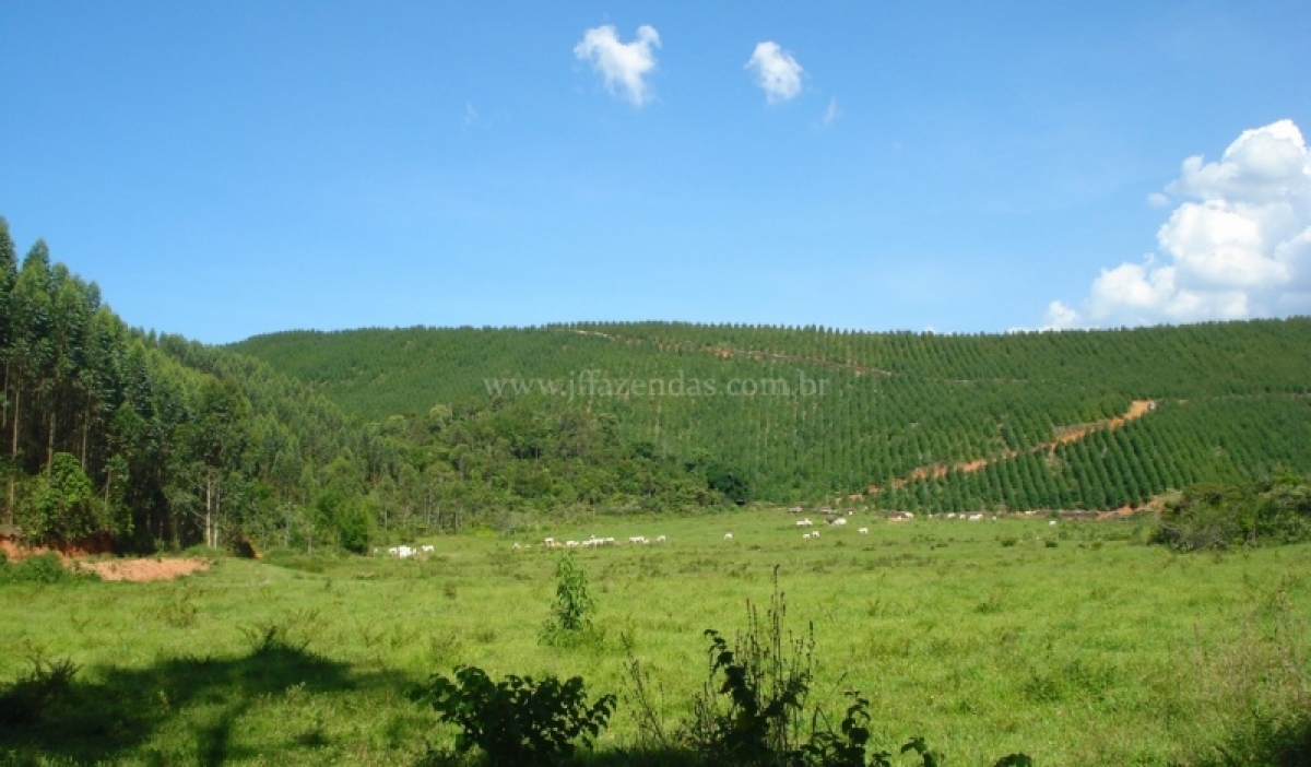 Fazenda em Juiz de Fora  - 357 hectares