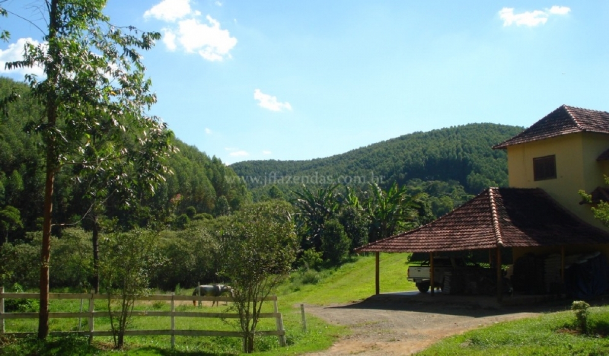 Fazenda em Juiz de Fora  - 357 hectares