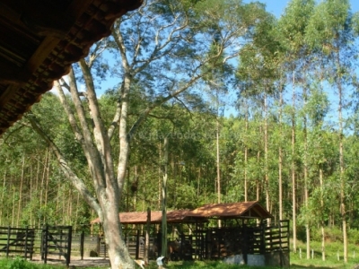 Fazenda em Juiz de Fora  - 357 hectares