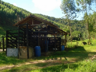 Fazenda em Juiz de Fora  - 357 hectares