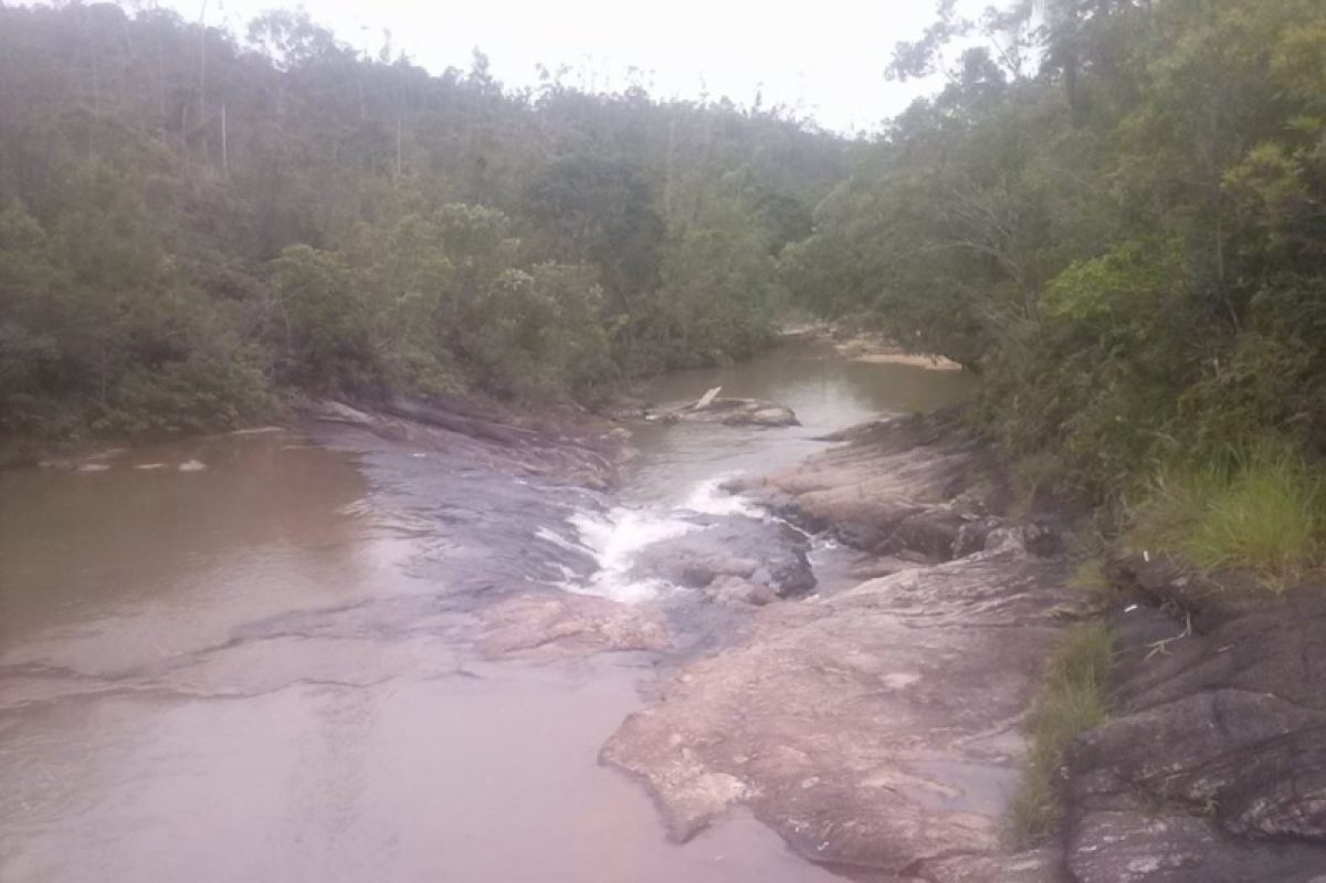 Fazenda com 1.300 hect pastos e campos  muita  agua e reflorestamento em Biguaçu sc