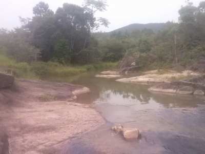 Fazenda com 1.300 hect pastos e campos  muita  agua e reflorestamento em Biguaçu sc