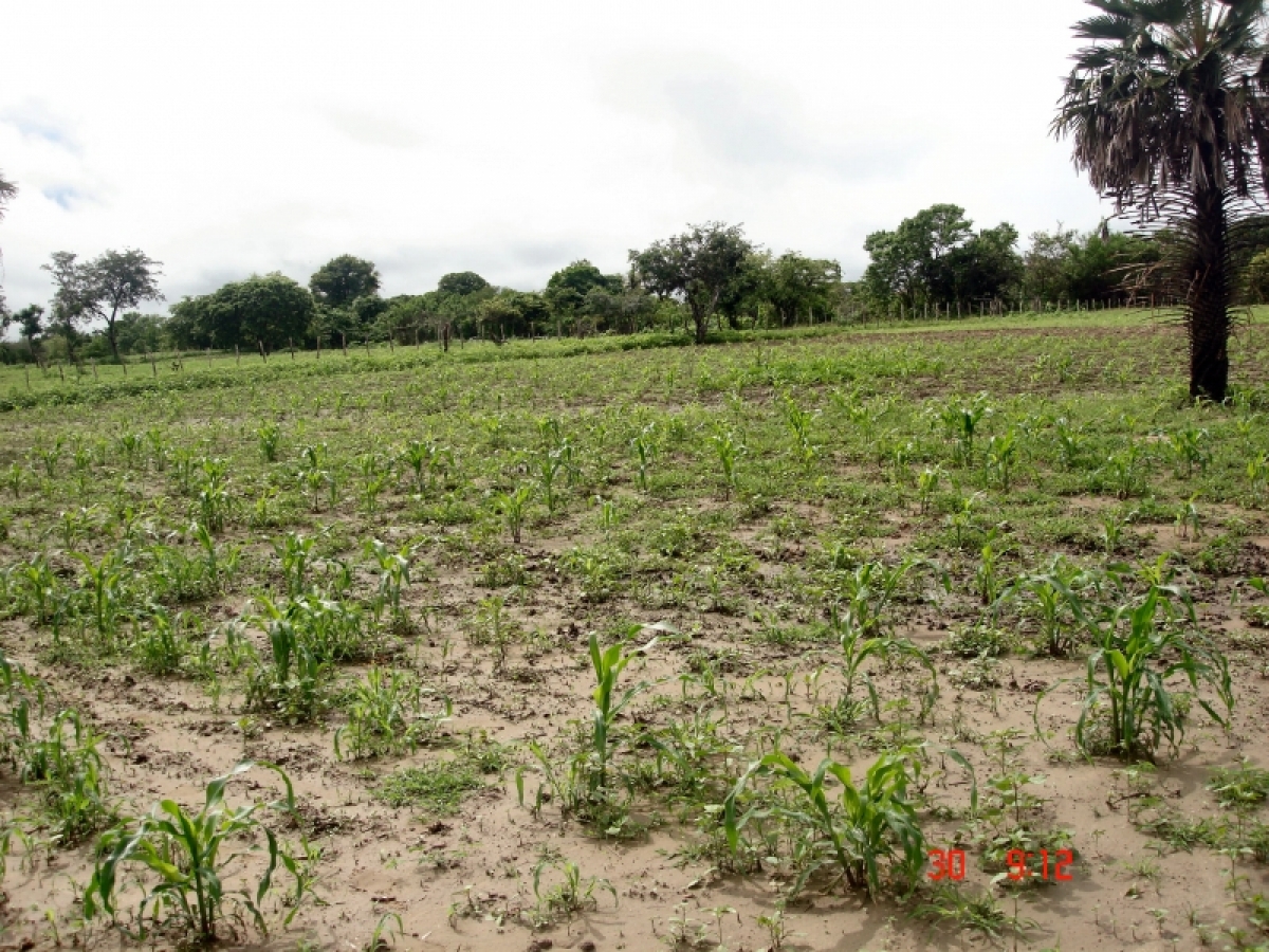 FAZENDA A 130KM DE FORTALEZA