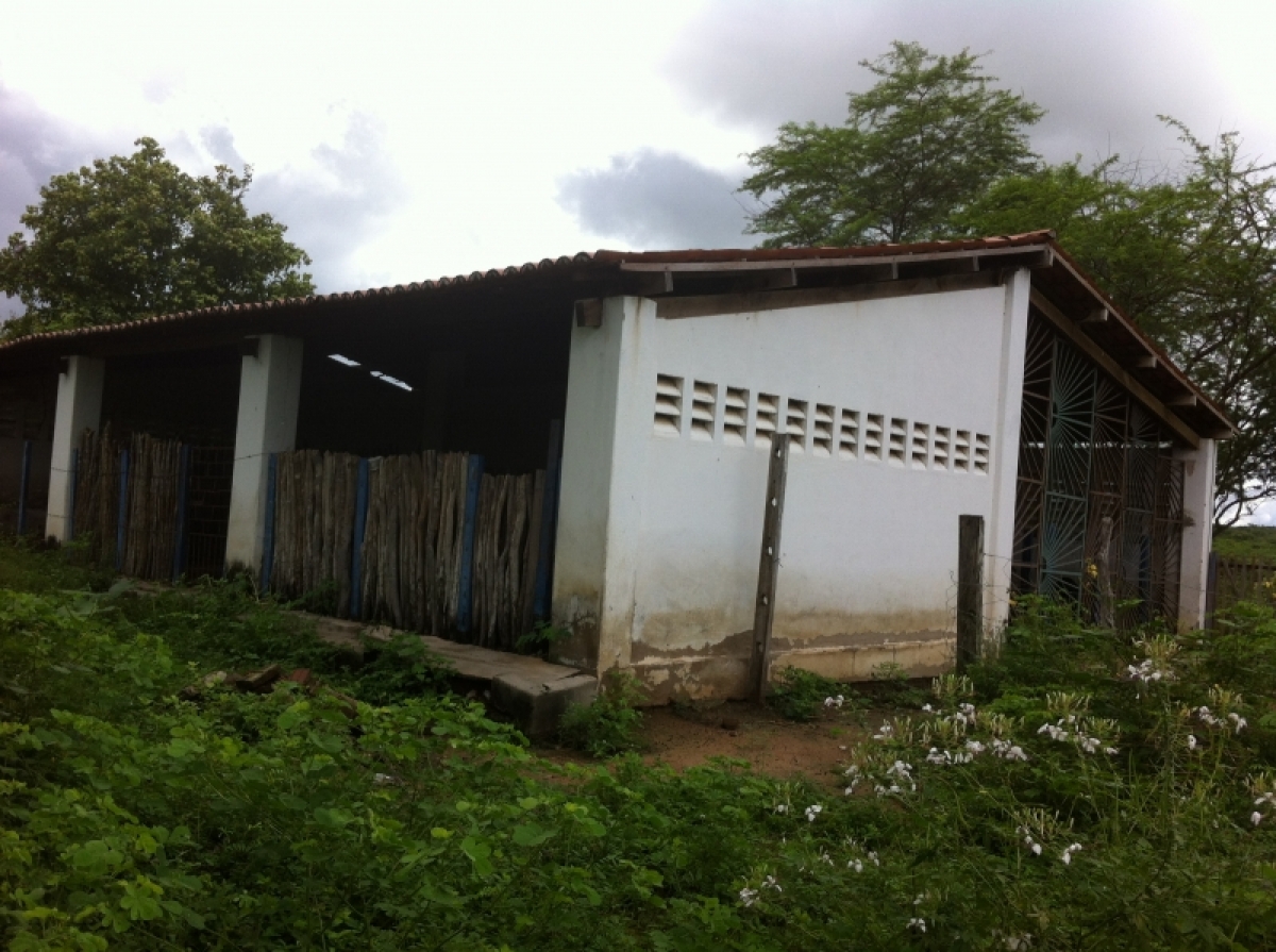 FAZENDA A 130KM DE FORTALEZA