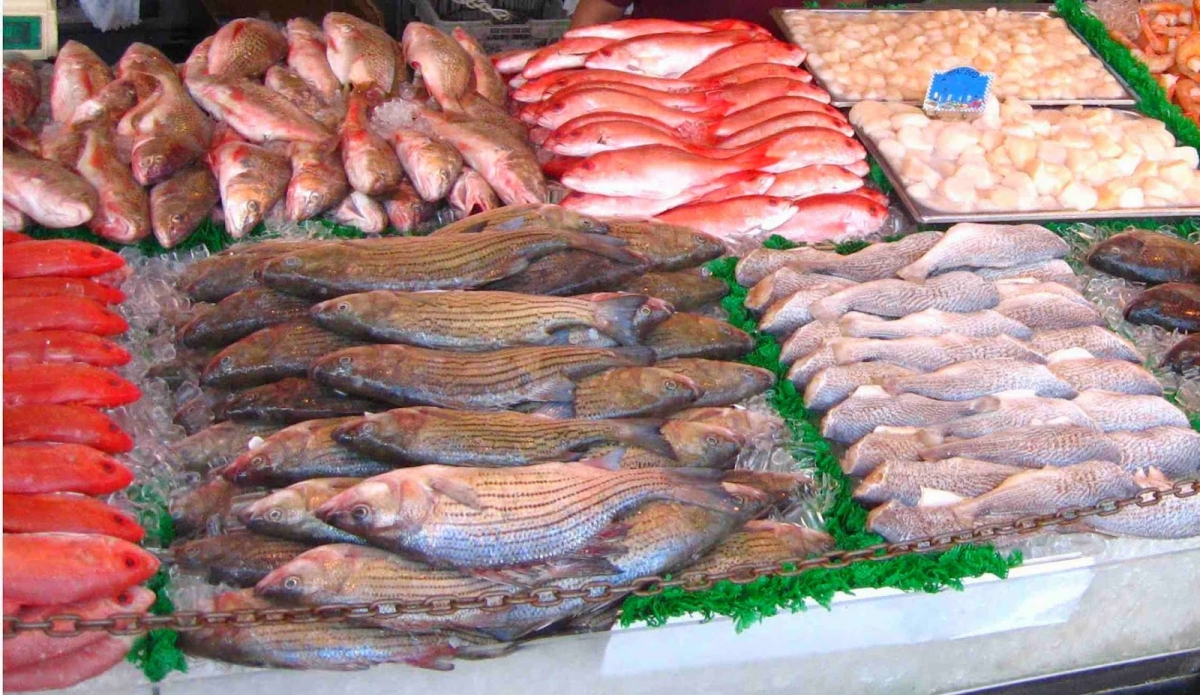Distribuidora de Pescados e Frutos do Mar