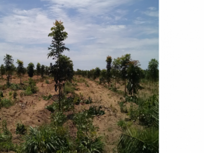 VENDO FAZENDA,  OPORTUNIDADE MARAVILHOSA EM TOCANTIS