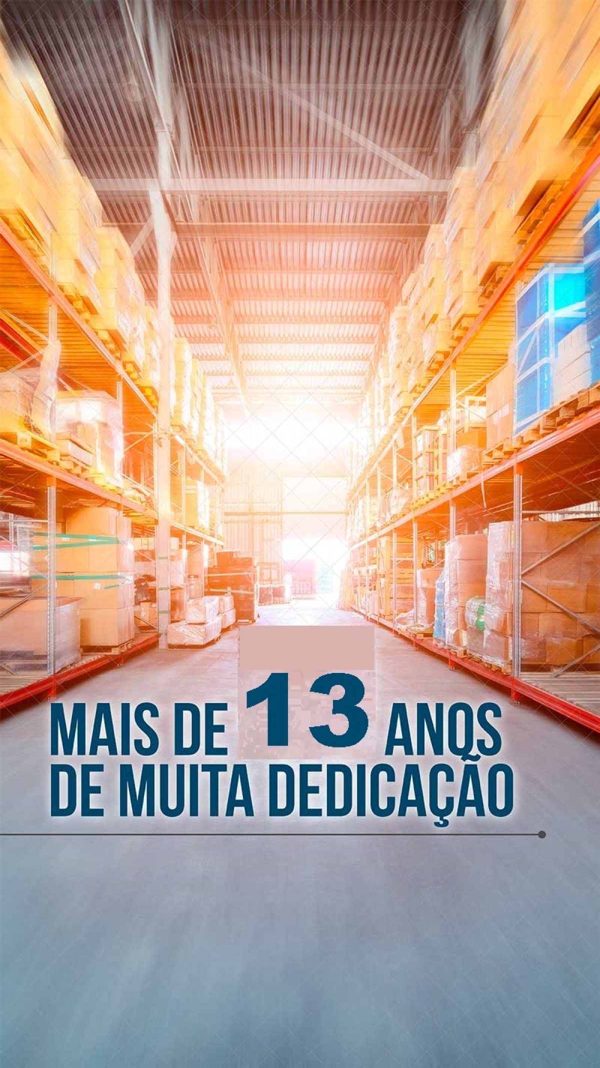 Vende-se Distribuidora com 13 Anos no Mercado