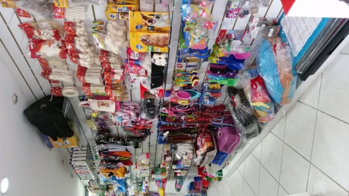 PET SHOP EM ICARAÍ AO LADO CAMPO DE SÃO BENTO