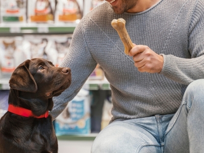 Clínica / Creche / Pet Shop / Estética à Venda - Zona Sul de POA/RS