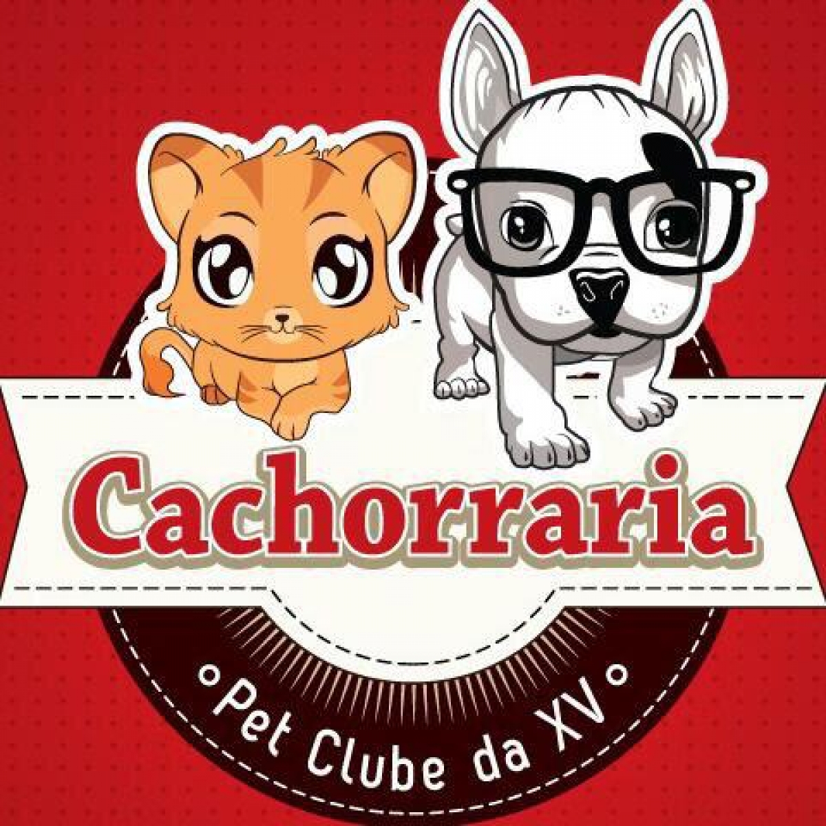 Pet Shop com Consultório Veterinário - 8 anos 