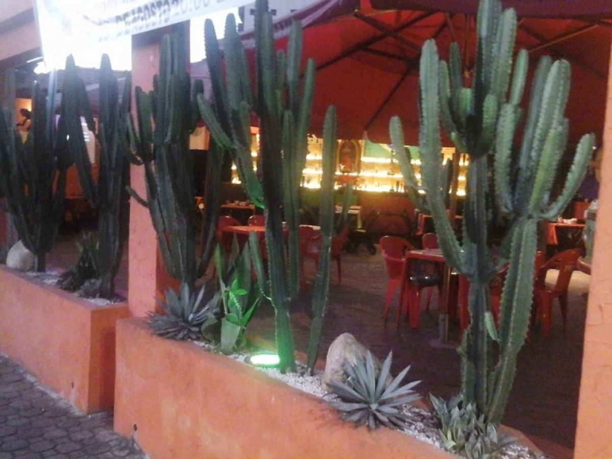 Restaurante Mexicano