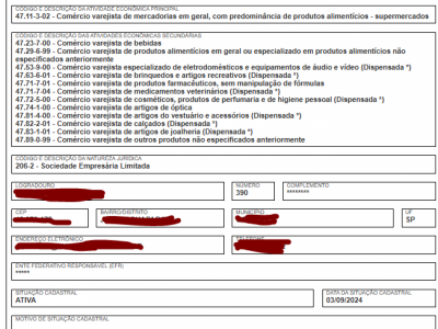 COMERCIO VAREJISTA DE IETNS EM GERAL CNAE 47113