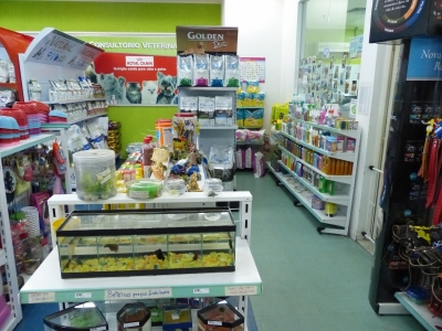 Pet Shop - Shopping Iguatemi Esplanada - 