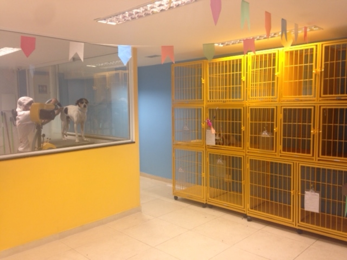 Vendo Pet Shop Recreio dos Bandeirantes