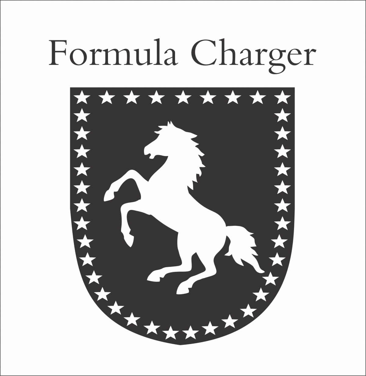 Procuro sócio- Fórmula Charger