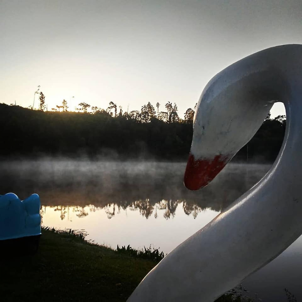 Venda e Aluguel de ponto para Pesque e Pague