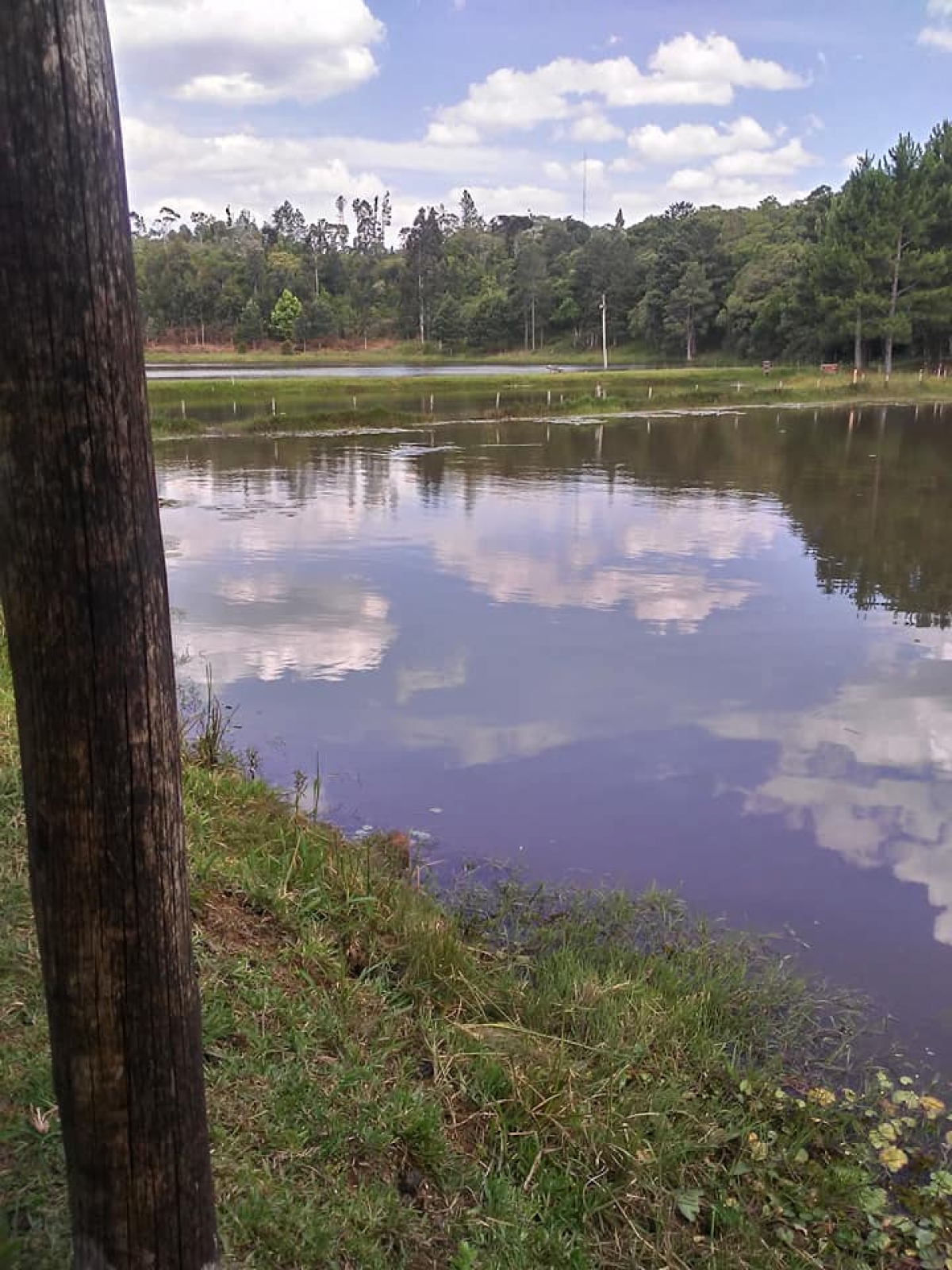 Venda e Aluguel de ponto para Pesque e Pague