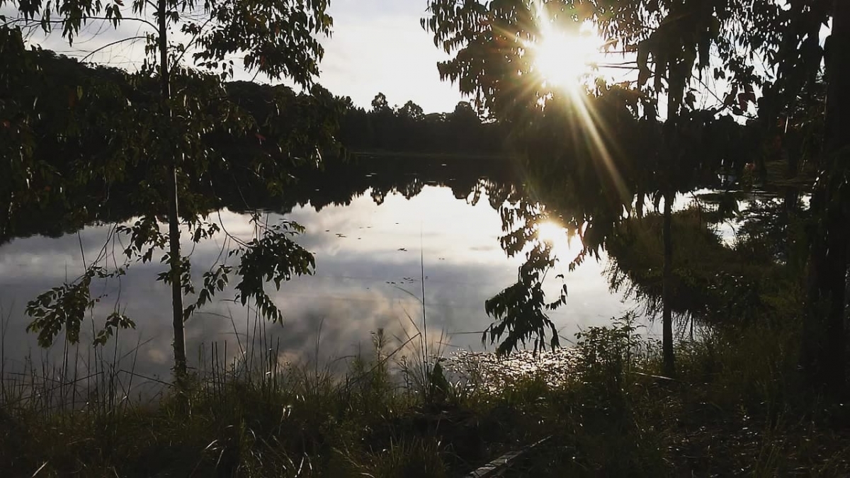 Venda e Aluguel de ponto para Pesque e Pague