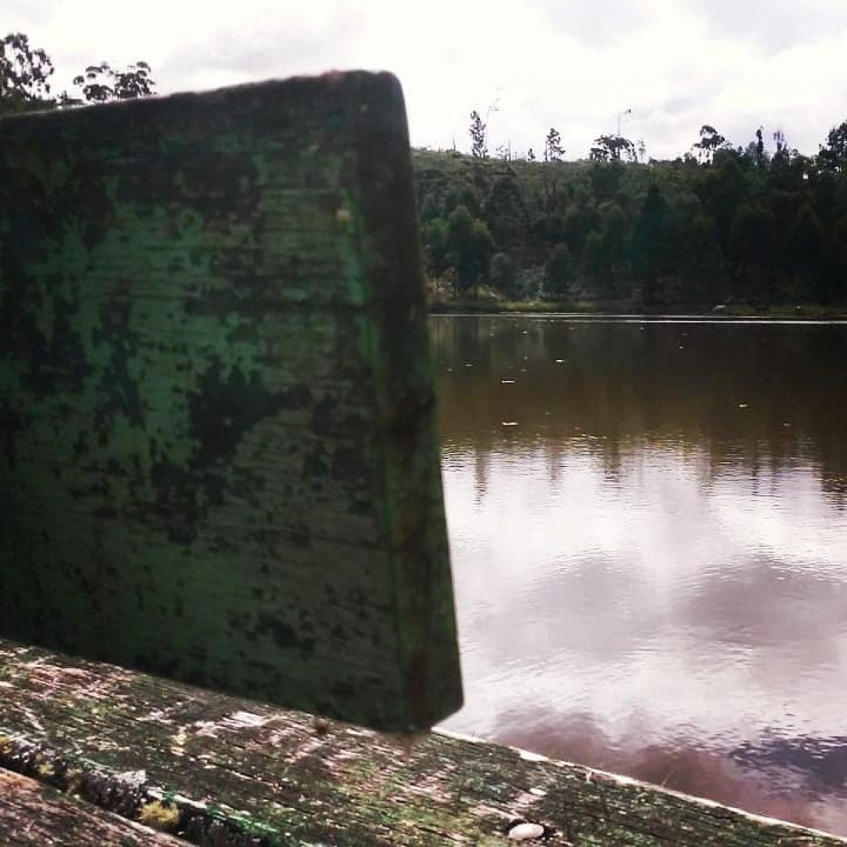 Venda e Aluguel de ponto para Pesque e Pague