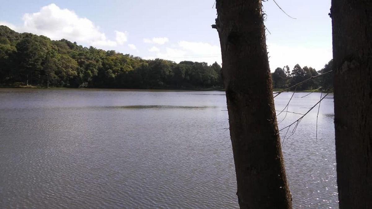 Venda e Aluguel de ponto para Pesque e Pague