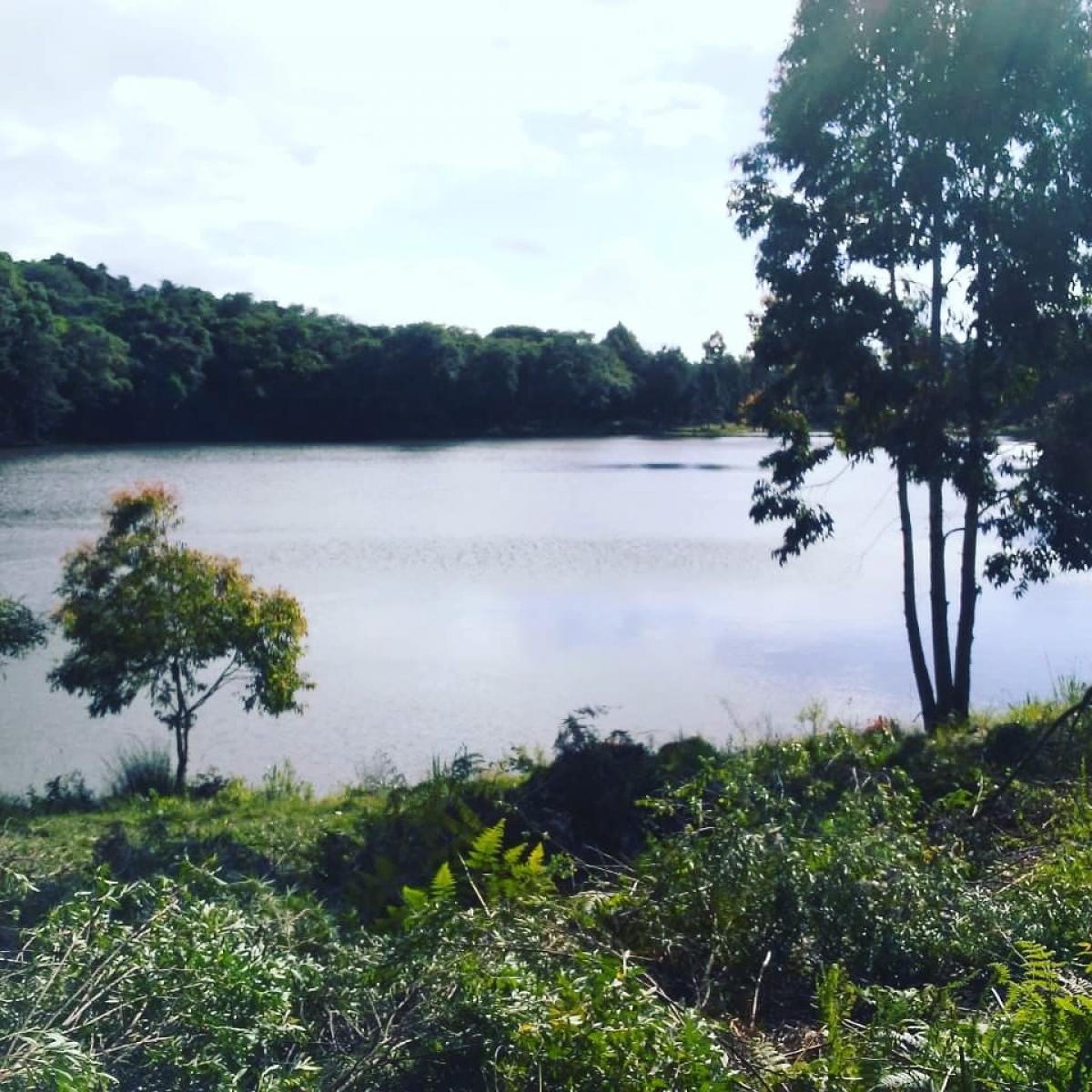 Venda e Aluguel de ponto para Pesque e Pague