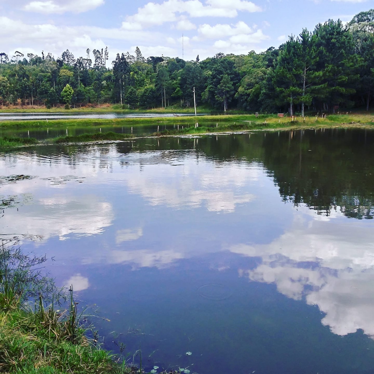 Venda e Aluguel de ponto para Pesque e Pague