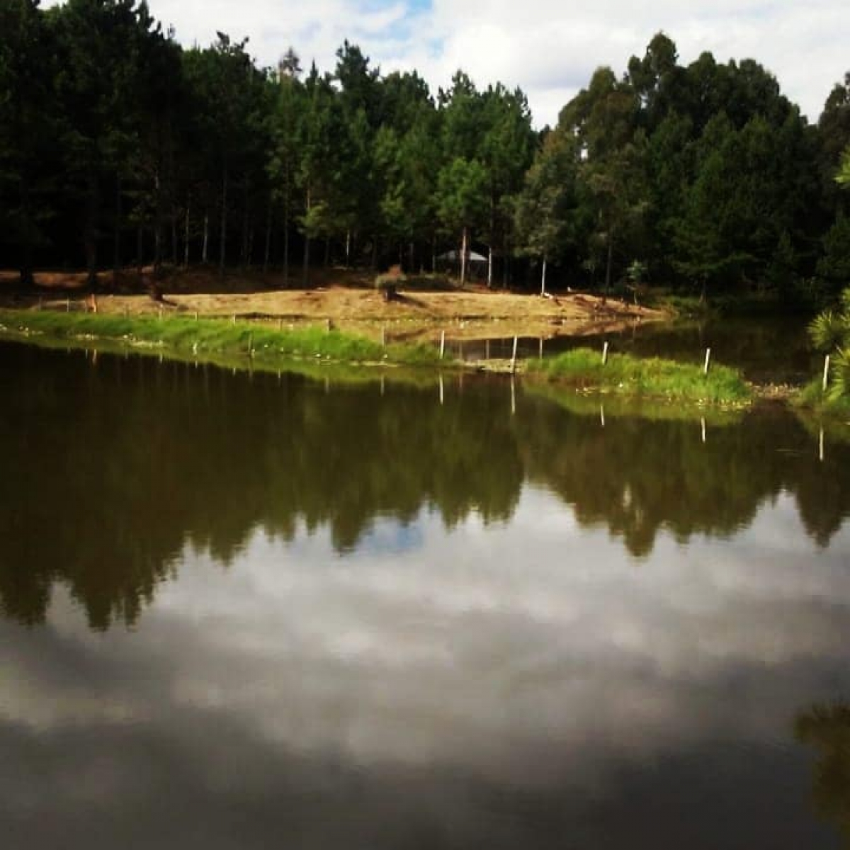 Venda e Aluguel de ponto para Pesque e Pague