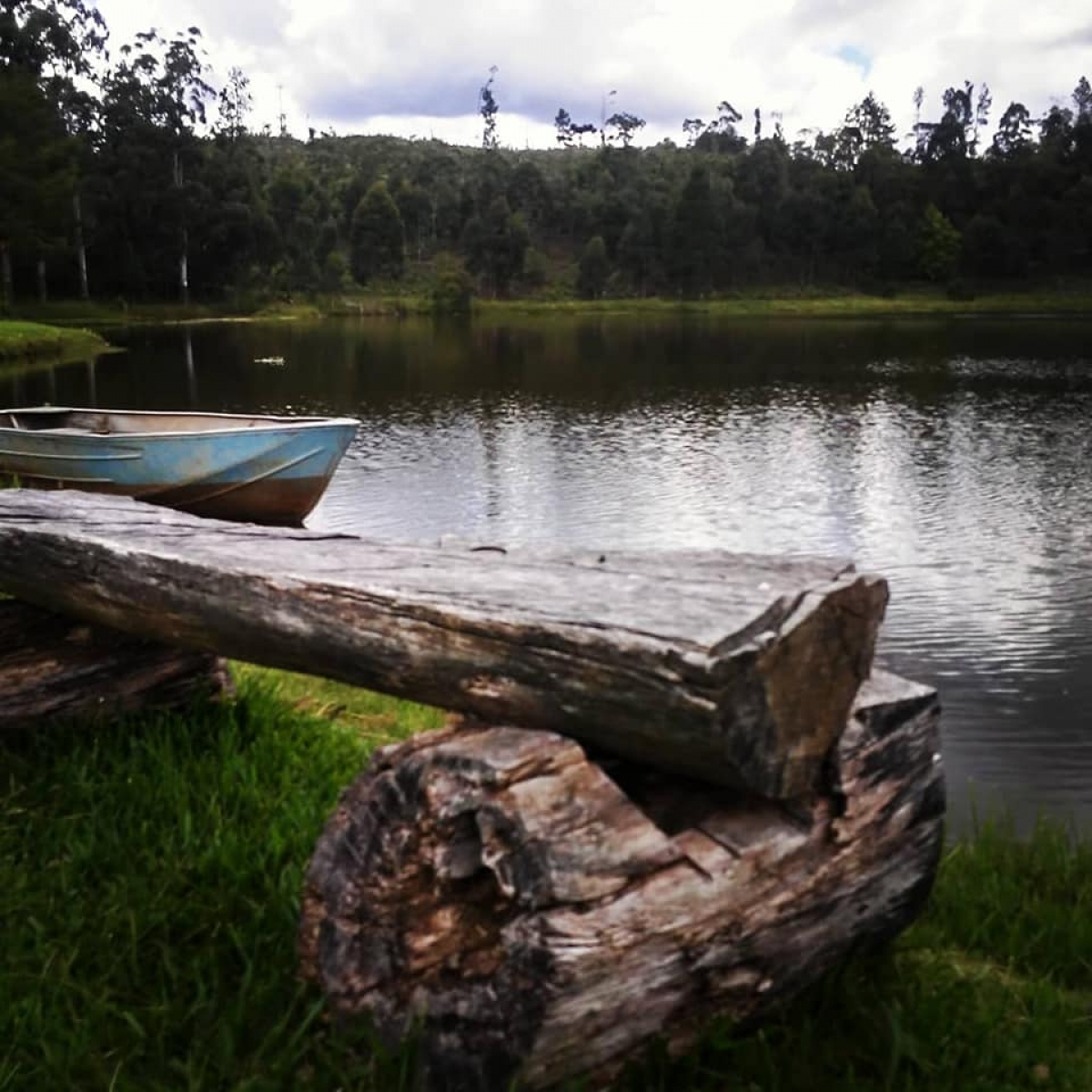 Venda e Aluguel de ponto para Pesque e Pague