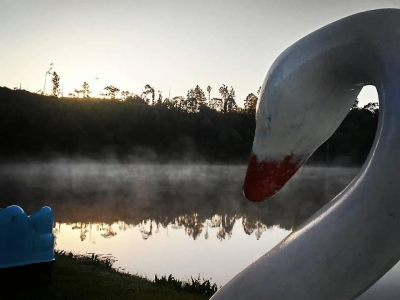 Venda e Aluguel de ponto para Pesque e Pague