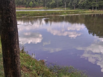 Venda e Aluguel de ponto para Pesque e Pague