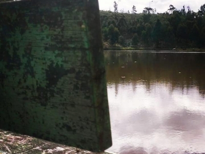 Venda e Aluguel de ponto para Pesque e Pague