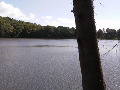 Venda e Aluguel de ponto para Pesque e Pague