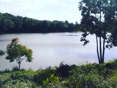 Venda e Aluguel de ponto para Pesque e Pague