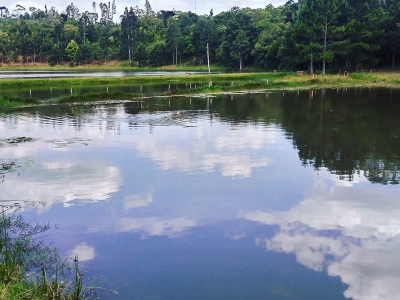 Venda e Aluguel de ponto para Pesque e Pague