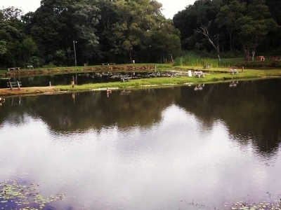 Venda e Aluguel de ponto para Pesque e Pague