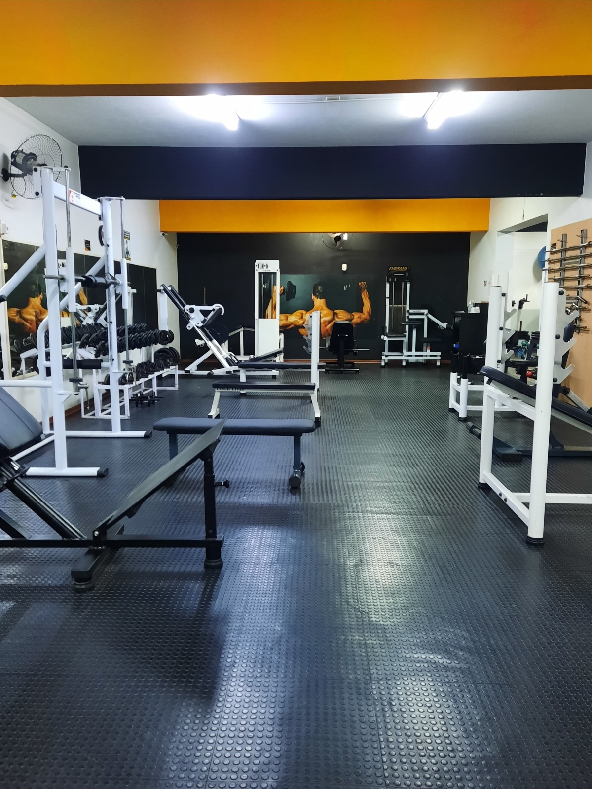  Academia de ginástica completa