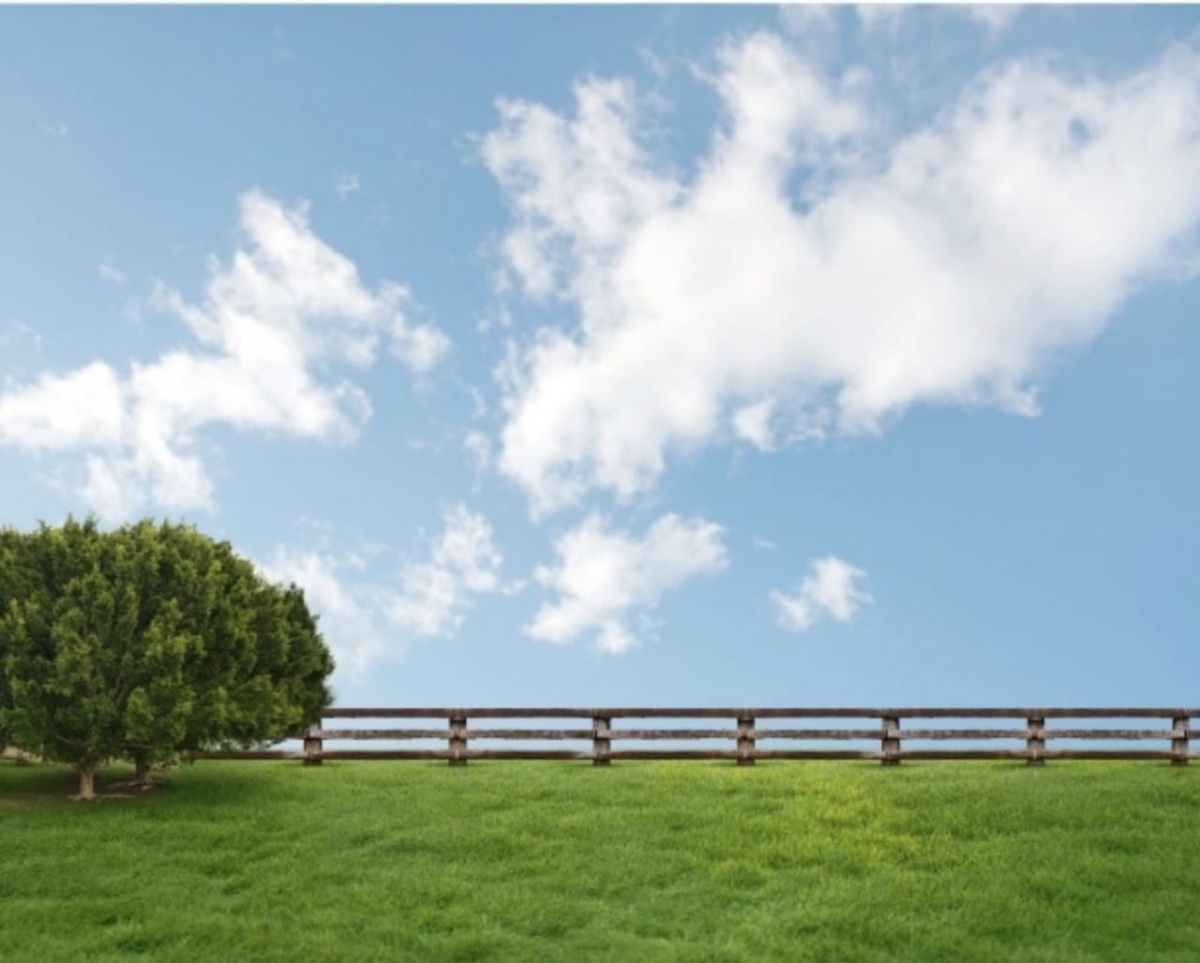 Vendo Fazenda - Piauí